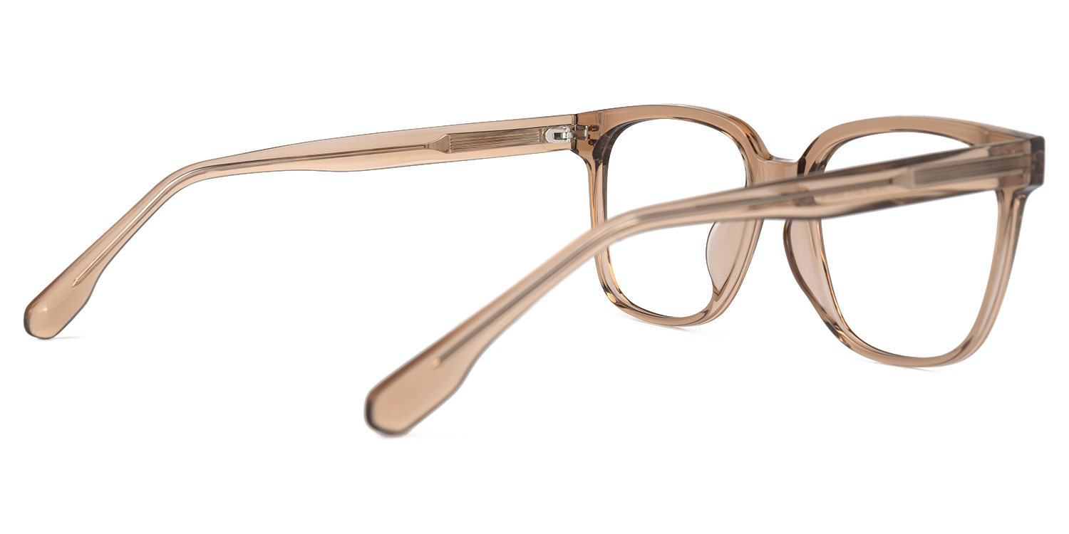 Donnalyn Square Brown Glasses3