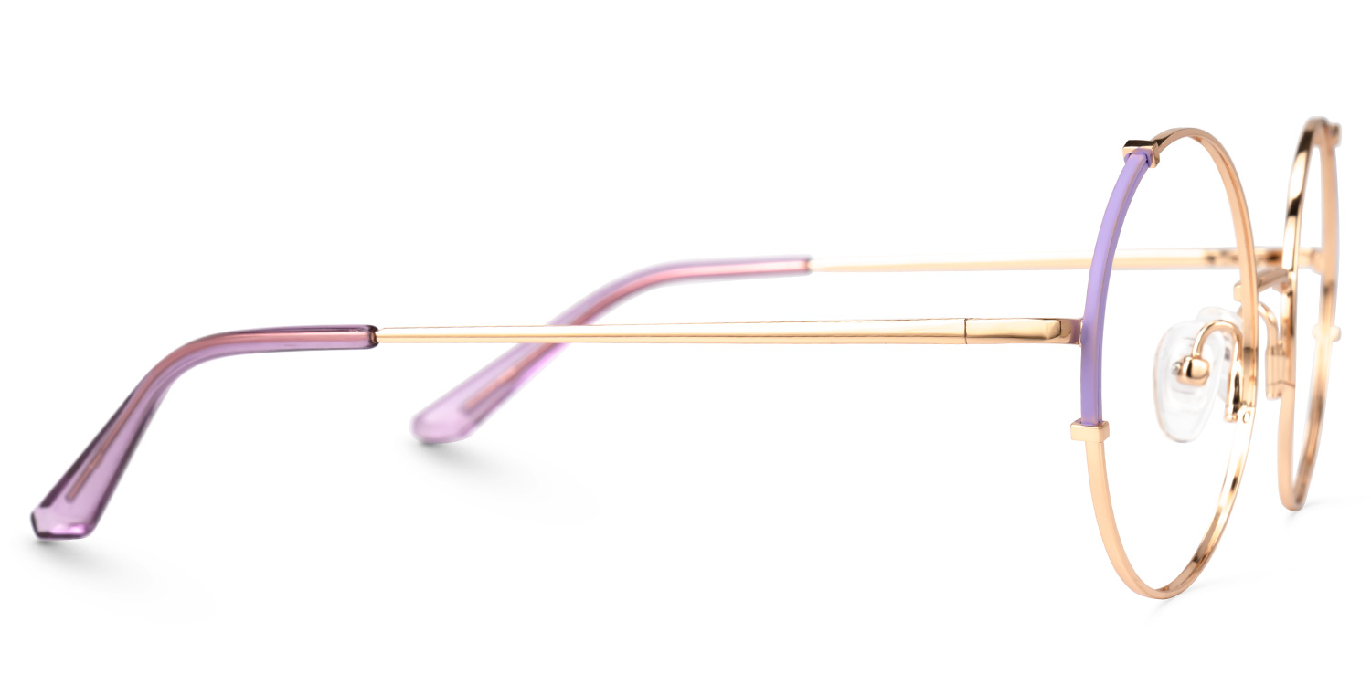 Rindy Round Purple Glasses2