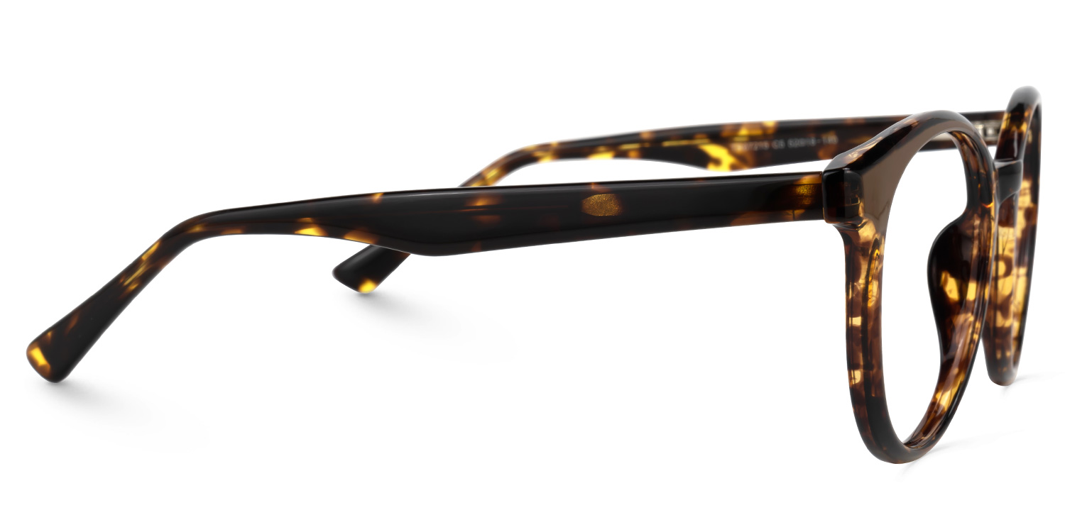 Jumesha Round Tortoise Glasses2
