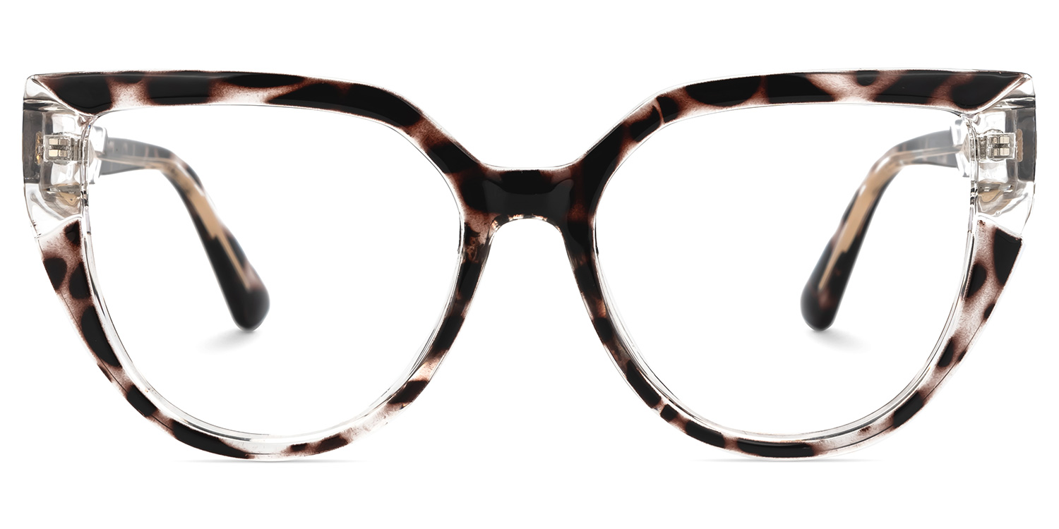 Damary Cateye Tortoise Glasses0