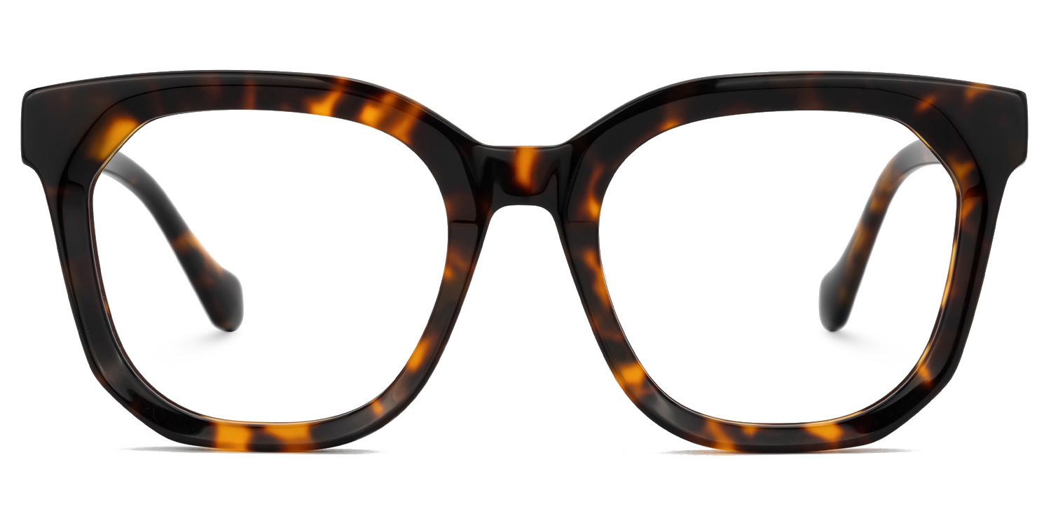 Beddoe Square Tortoise Glasses0
