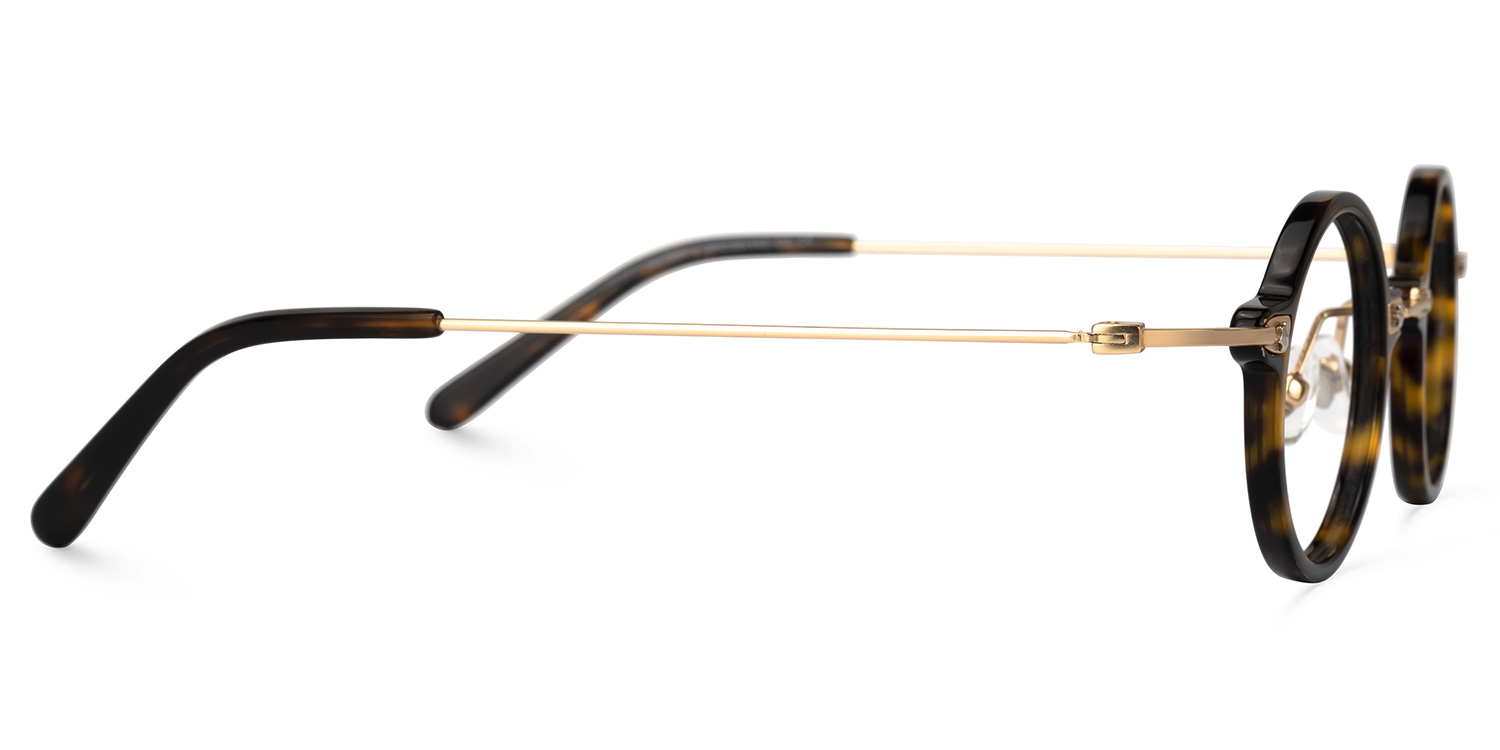Maines Round Tortoise Glasses2