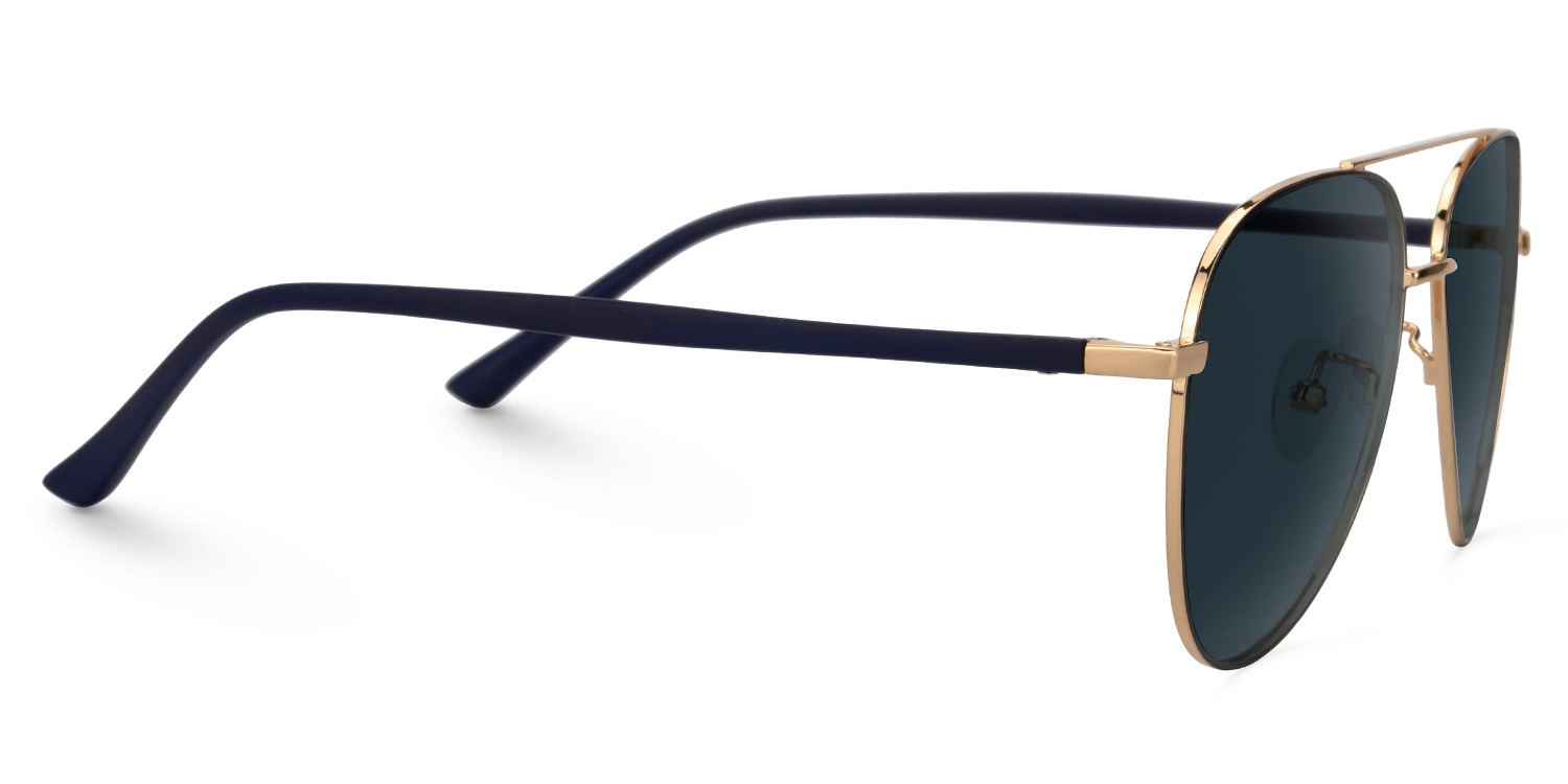 Paige Aviator Black-Gold Sunglasses2