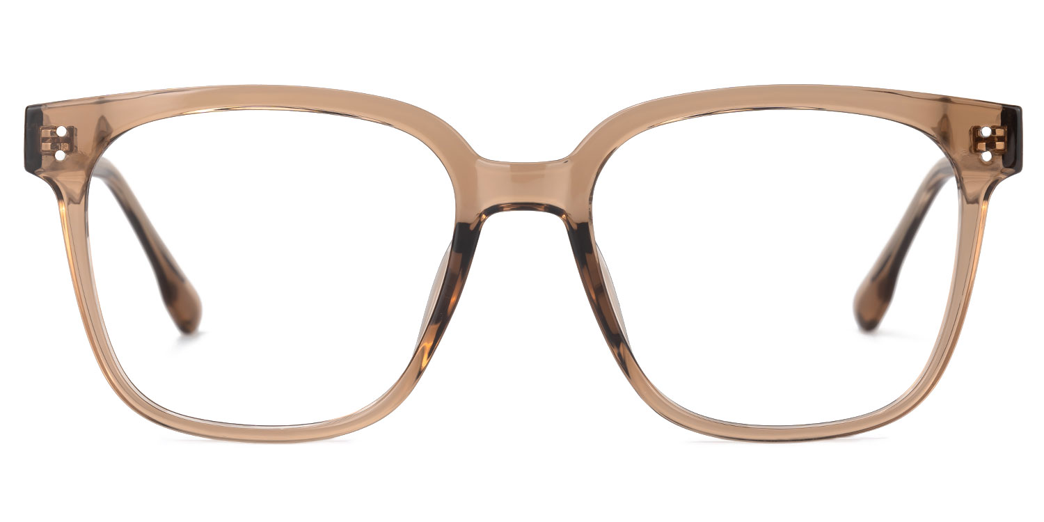 Donnalyn Square Brown Glasses0