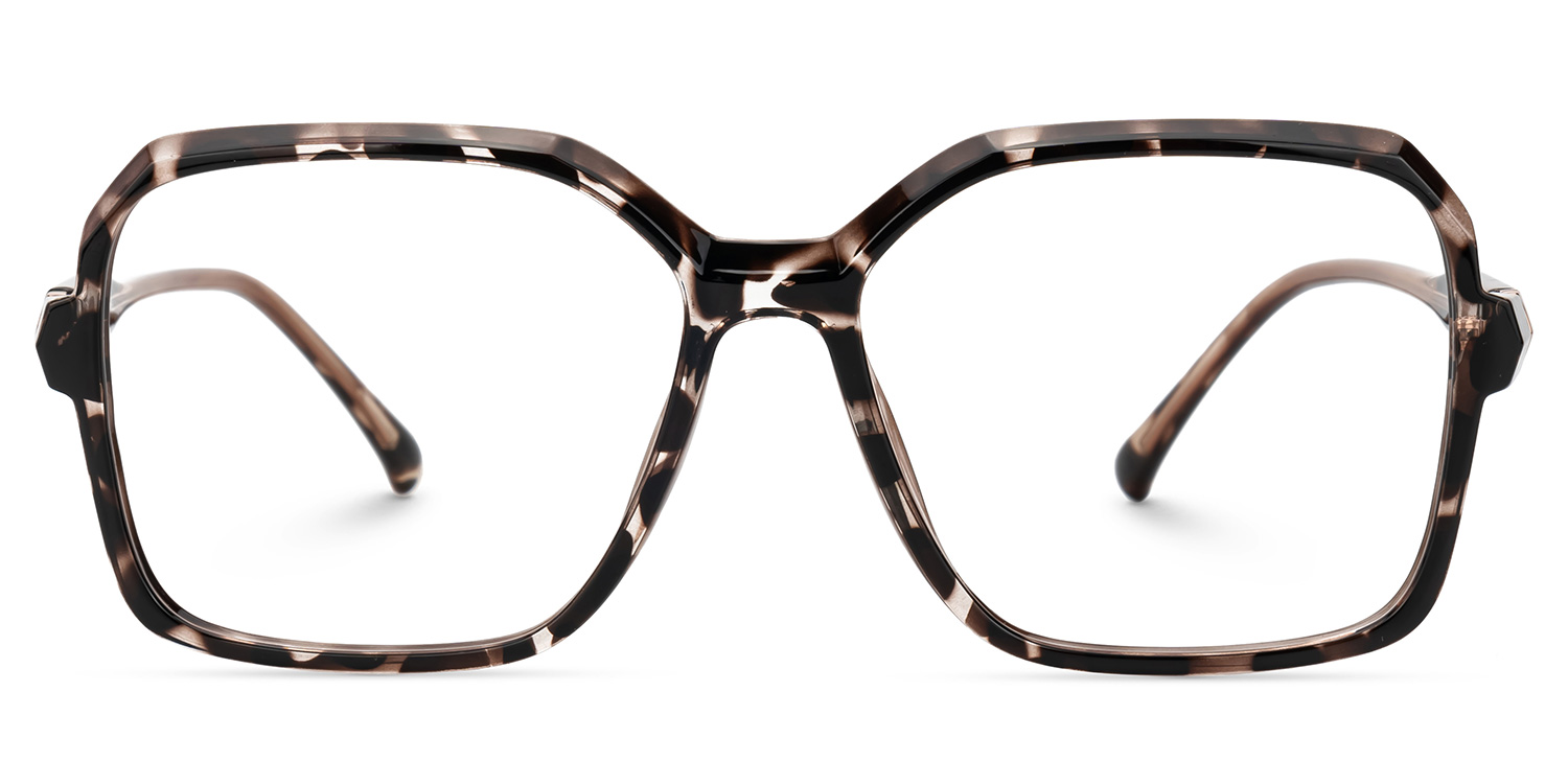 Wasmer Acetate Geometric Tortoise Frame Glasses | Zeelool0