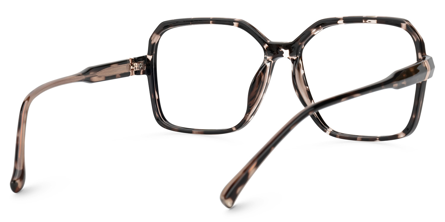 Wasmer Acetate Geometric Tortoise Frame Glasses | Zeelool3