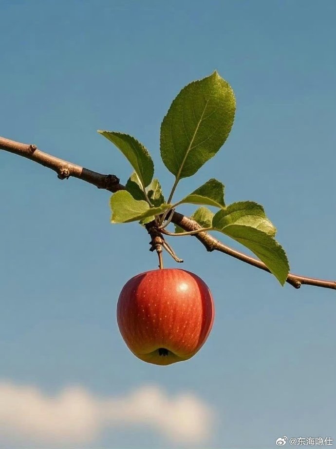 Winston Butterfly Floral Glasses0