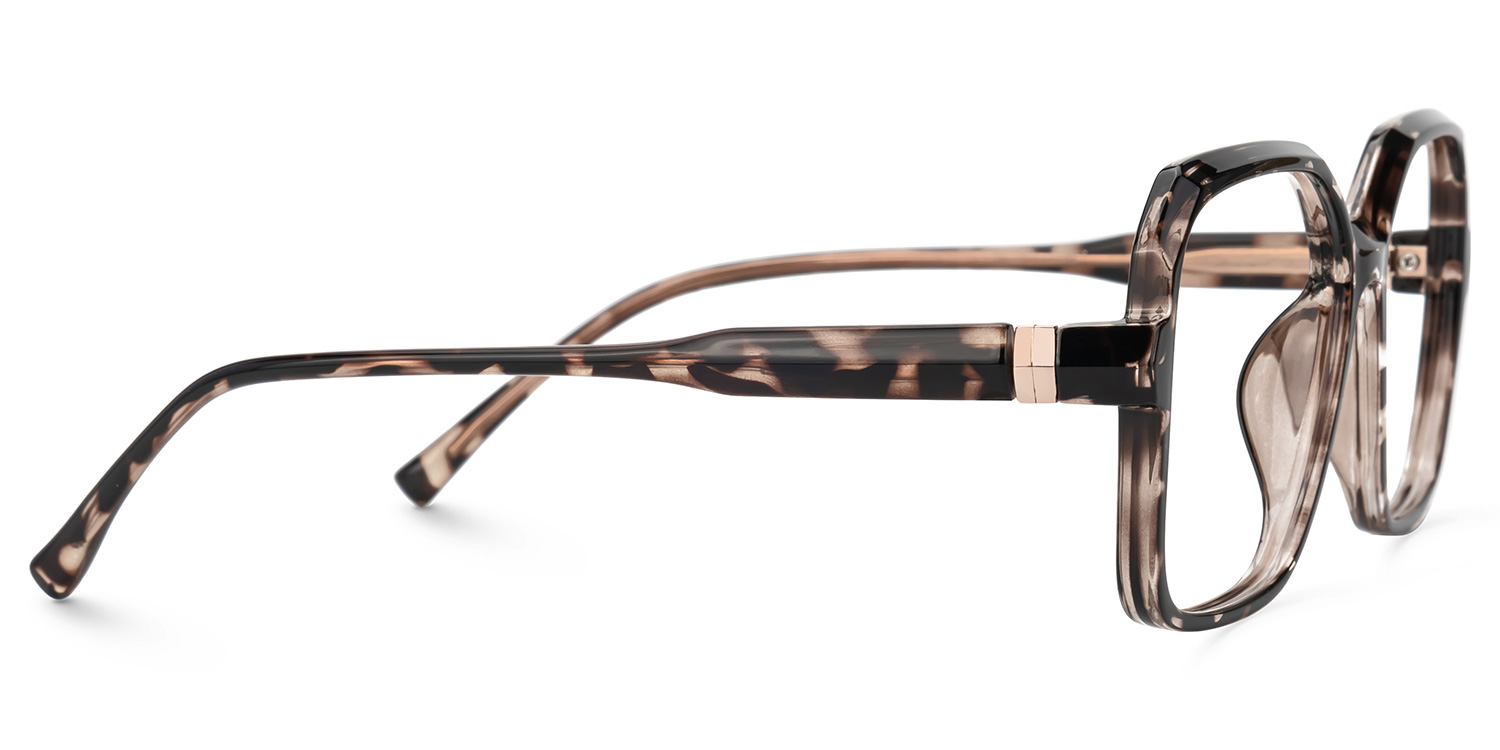 Wasmer Acetate Geometric Tortoise Frame Glasses | Zeelool2
