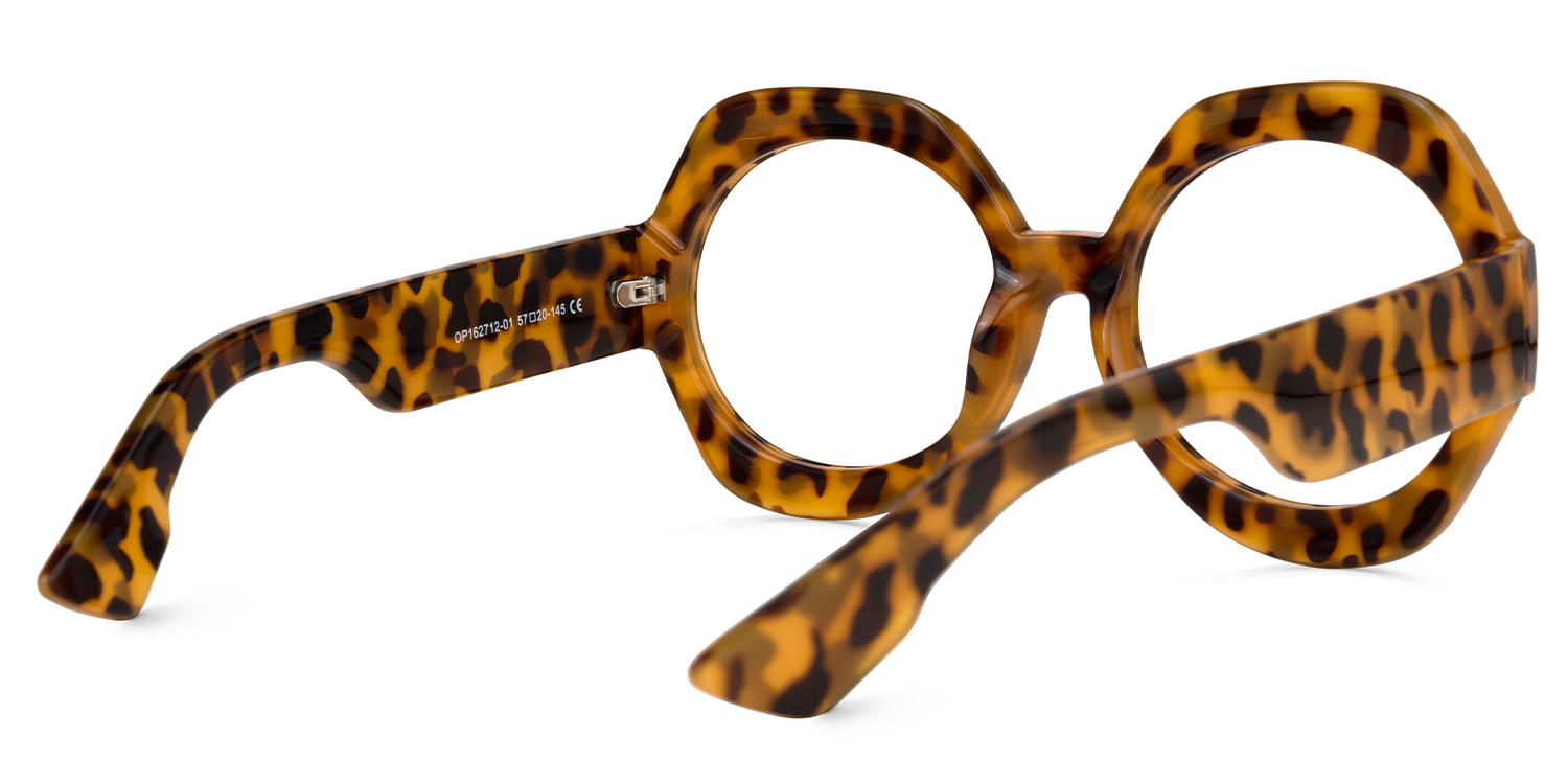 Geoffrey Geometric Tortoise Eyeglasses & Glasses Frames3