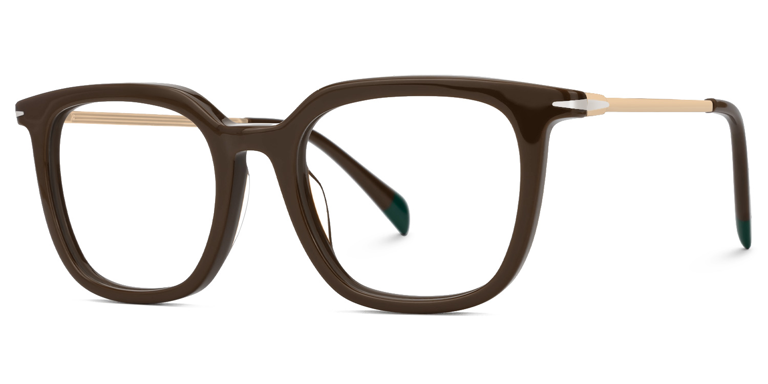 Bodali Mixed-Materials Square Brown Frame Glasses | Zeelool1