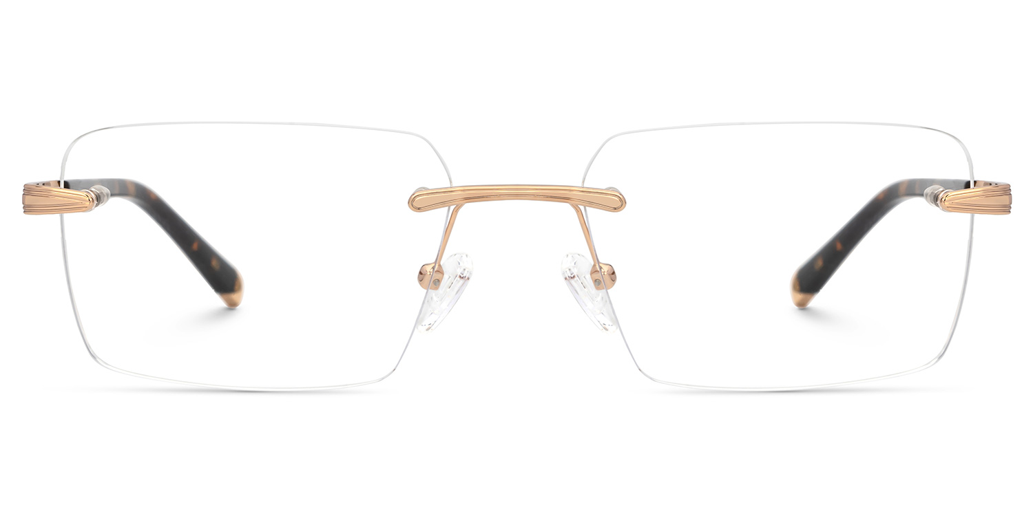 Savitrie Rectangle Tortoise Glasses0