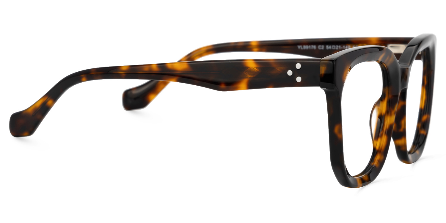 Beddoe Square Tortoise Glasses2