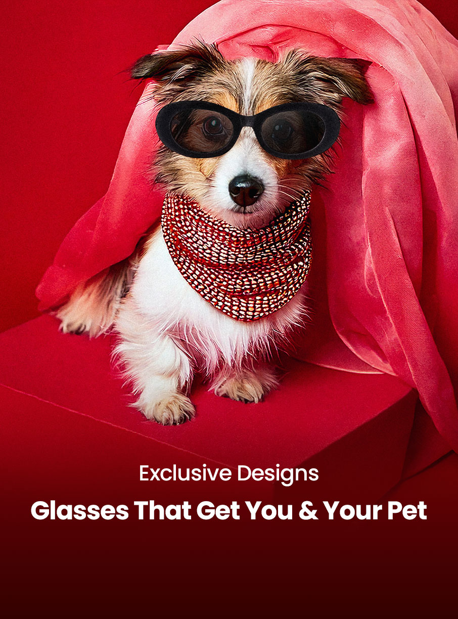 Fillery Cateye Crystal Full-Frame Glasses | Zeelool3